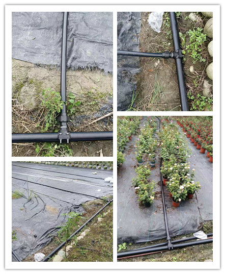 微信圖片_20210914103041_.jpg 微信圖片_20210914103041_.jpg