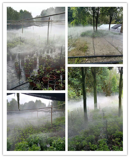 信圖片_20210914103041_副本.jpg 信圖片_20210914103041_副本.jpg