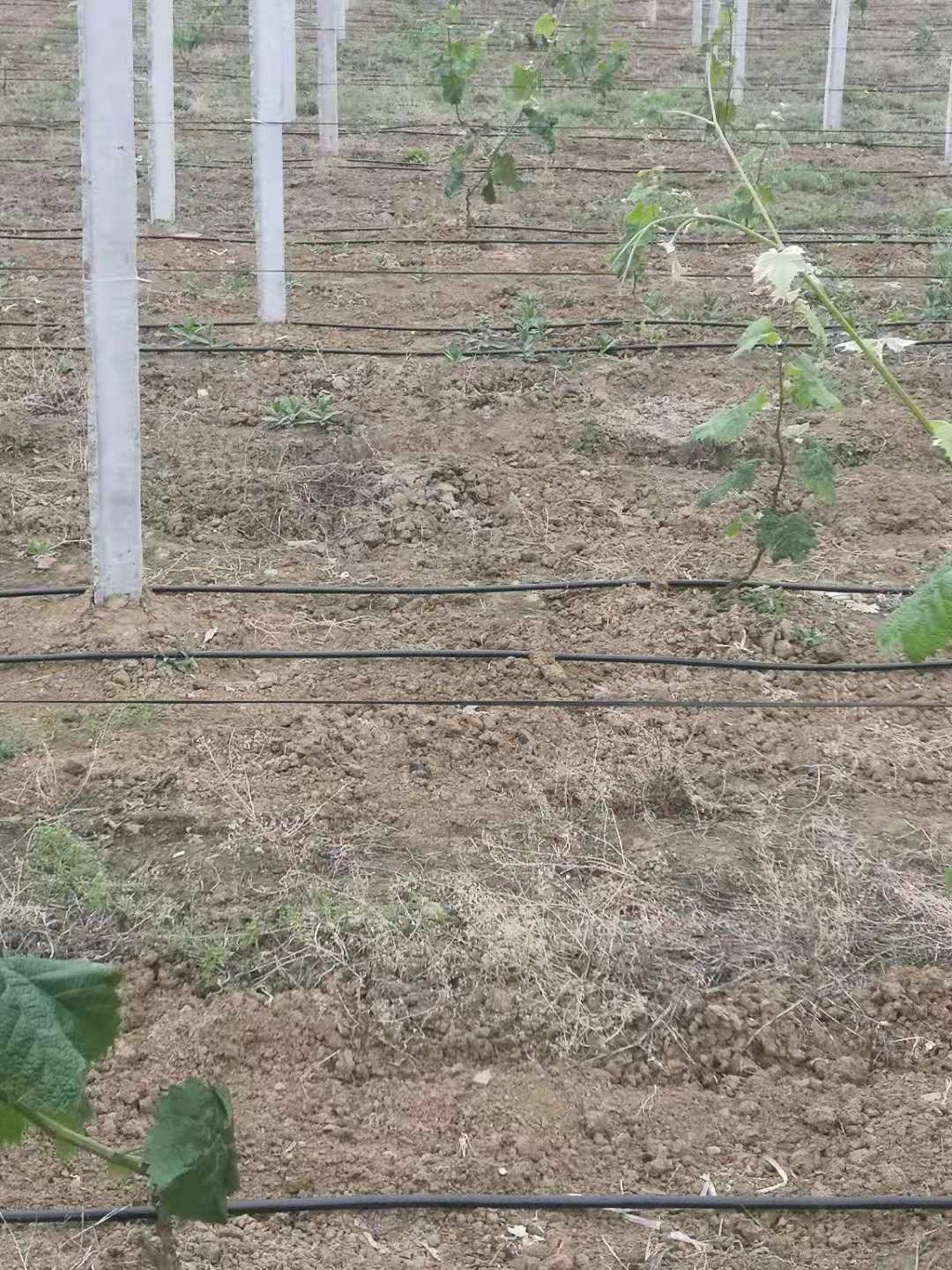 微信圖片_20210412103927.jpg 微信圖片_20210412103927.jpg