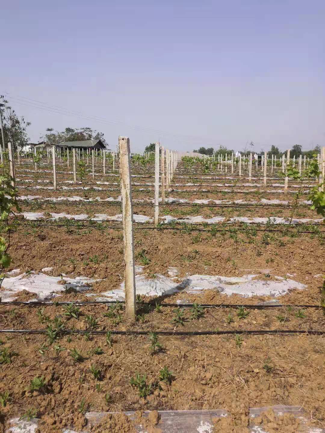 微信圖片_20210412143311.jpg 微信圖片_20210412143311.jpg