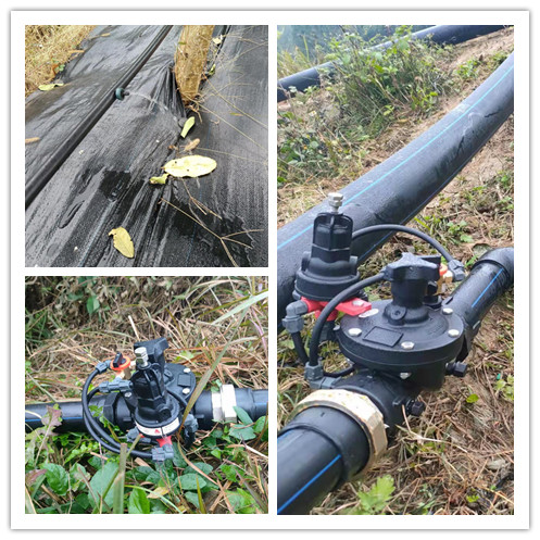 微信圖片_20211208154453_副本.jpg 微信圖片_20211208154453_副本.jpg