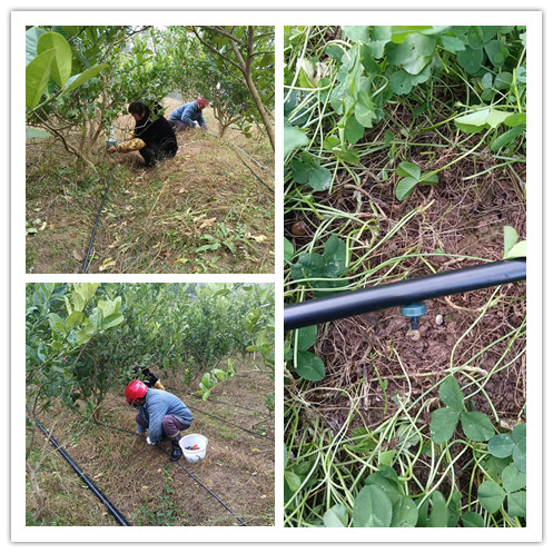 微信圖片_20211208154643_副本.jpg 微信圖片_20211208154643_副本.jpg