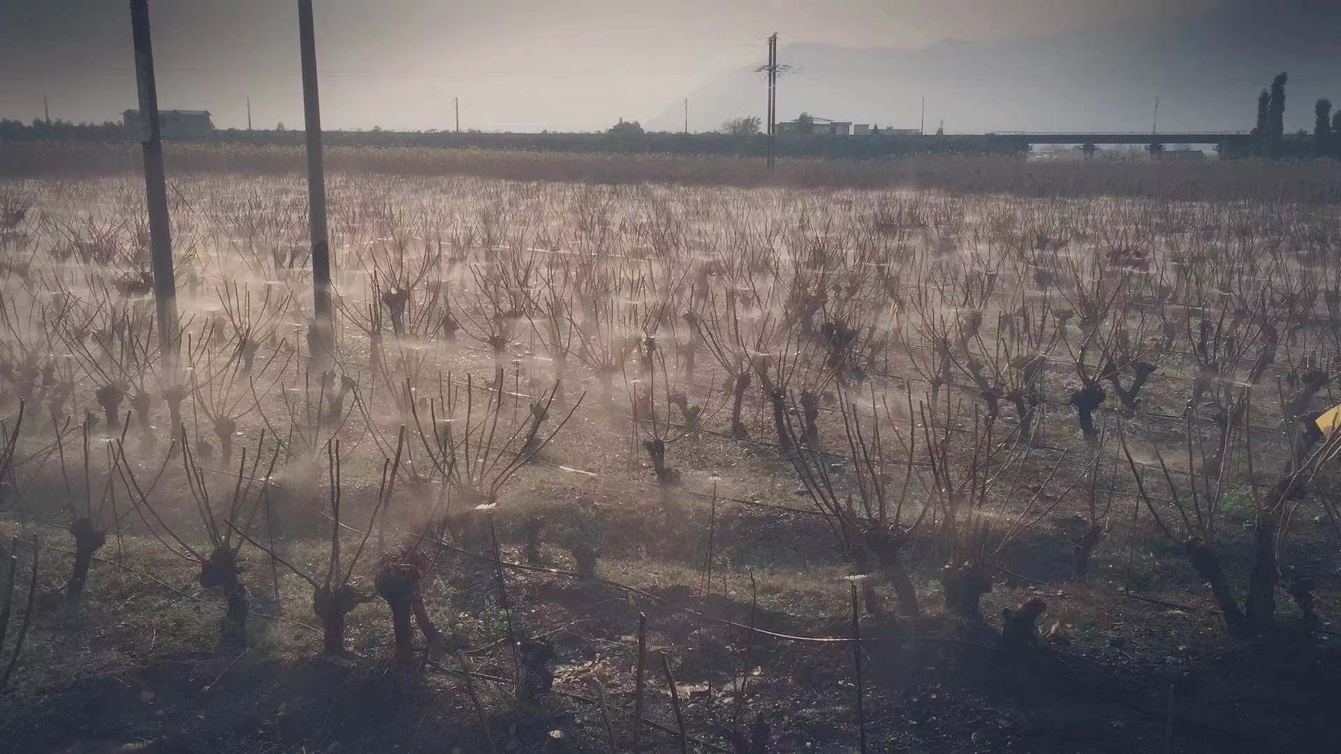 微信圖片_20201222111512.jpg 微信圖片_20201222111512.jpg