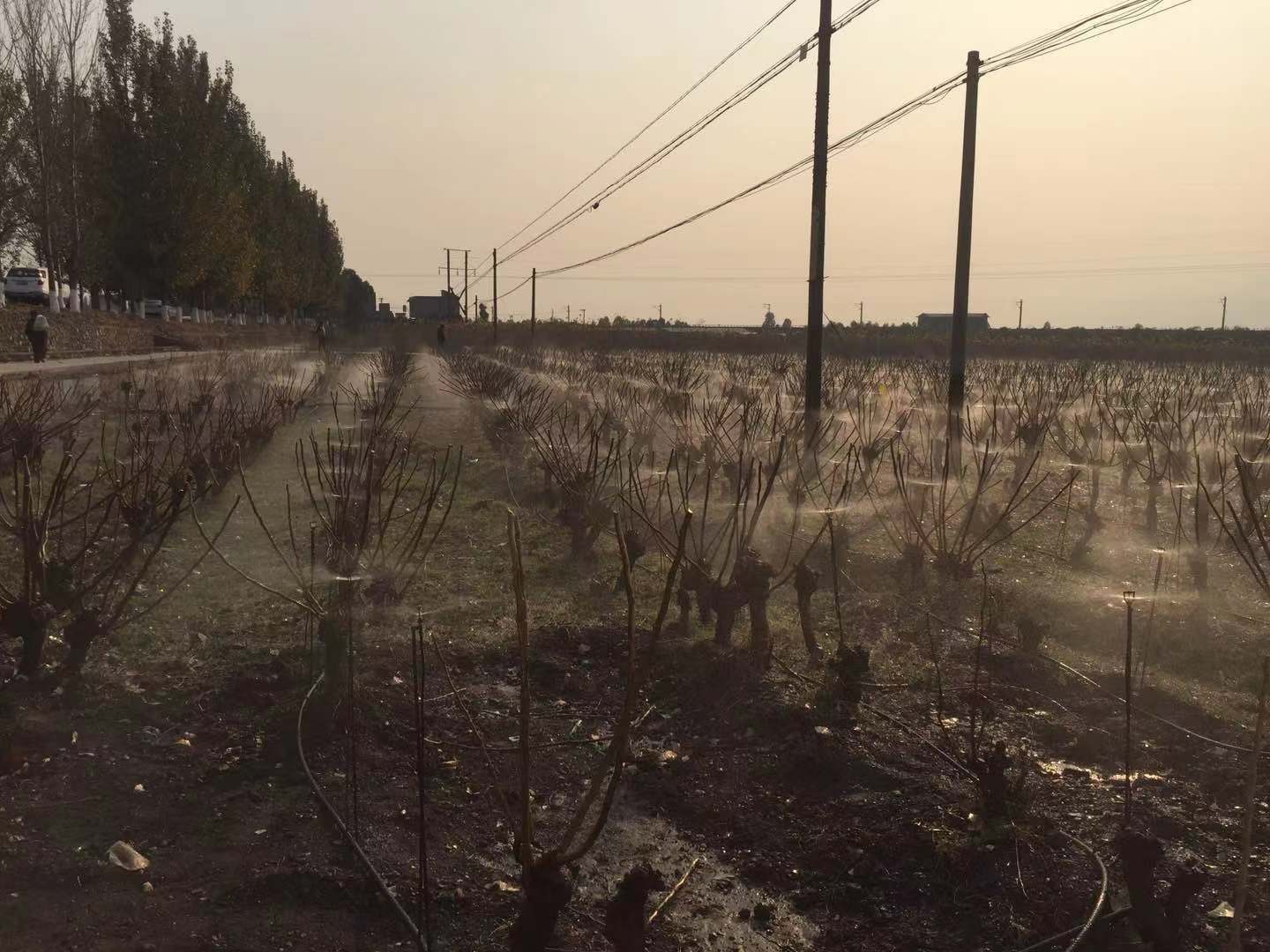 微信圖片_20201222111525.jpg 微信圖片_20201222111525.jpg