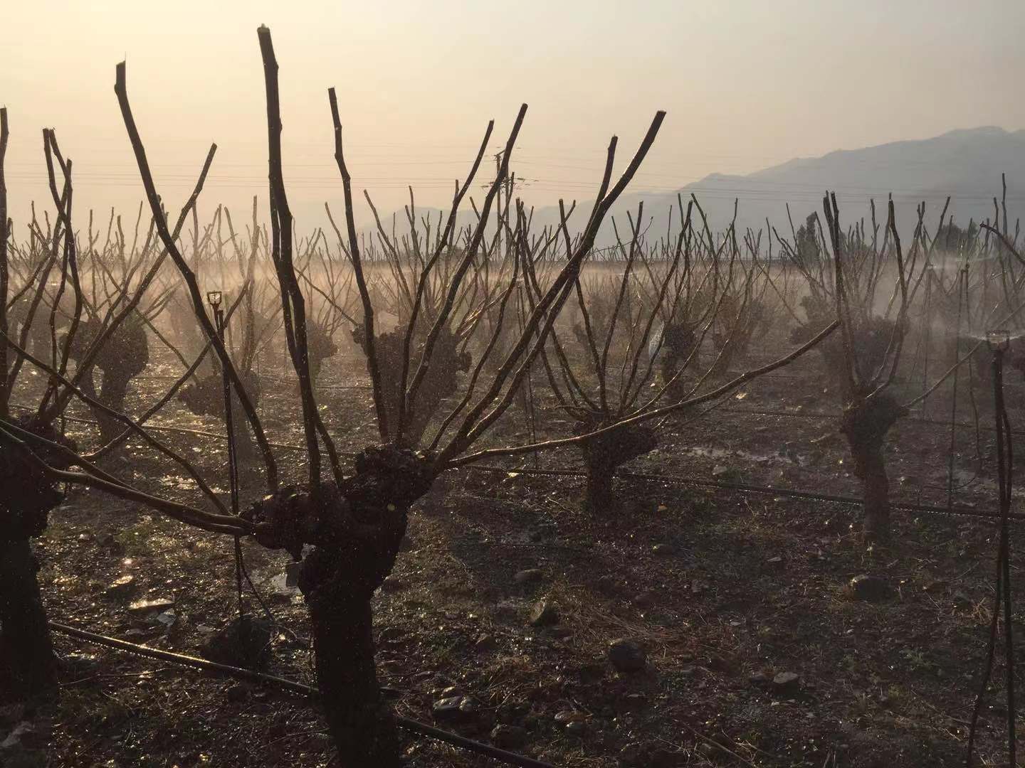 微信圖片_20201222111531.jpg 微信圖片_20201222111531.jpg