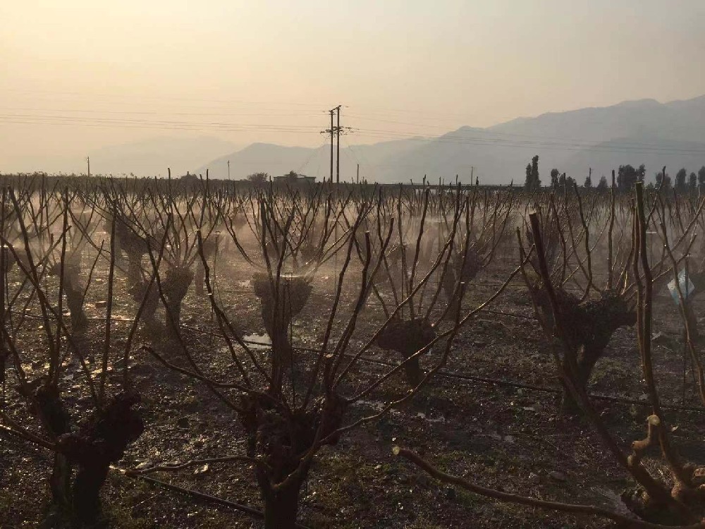 西昌蠶種場項目