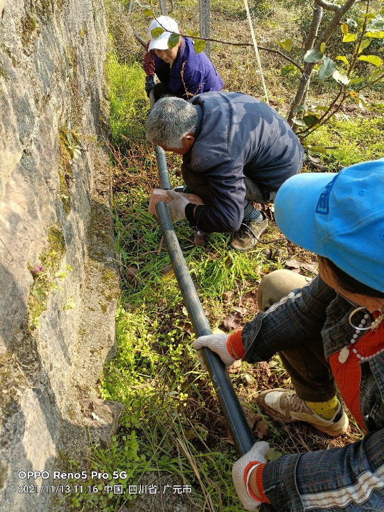廣元旺蒼黃茶種植園項目