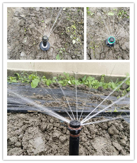 微信圖片_2021101514334.jpg 微信圖片_2021101514334.jpg