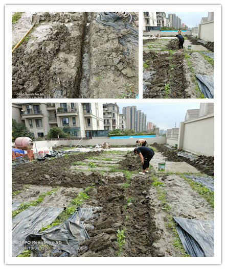 微信圖片_20211015143346_副本.jpg 微信圖片_20211015143346_副本.jpg