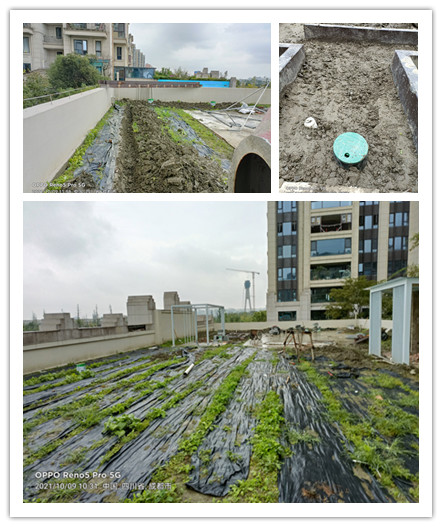 成都武侯區別墅花園項目