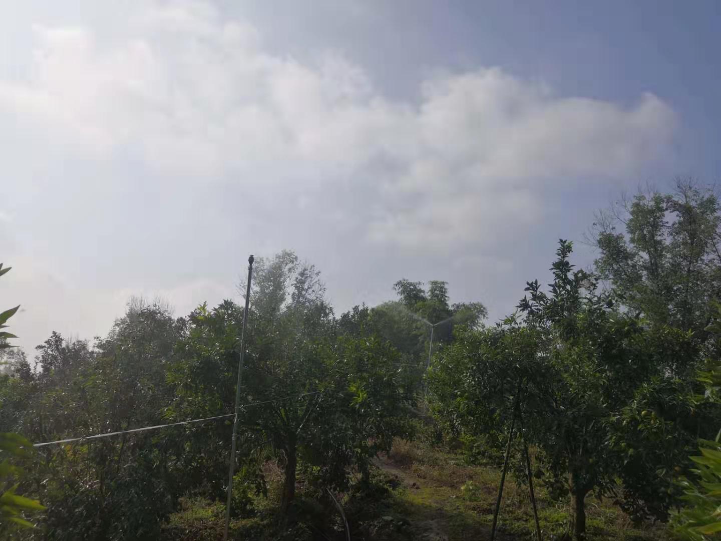 微信圖片_202001150943177.jpg 微信圖片_202001150943177.jpg