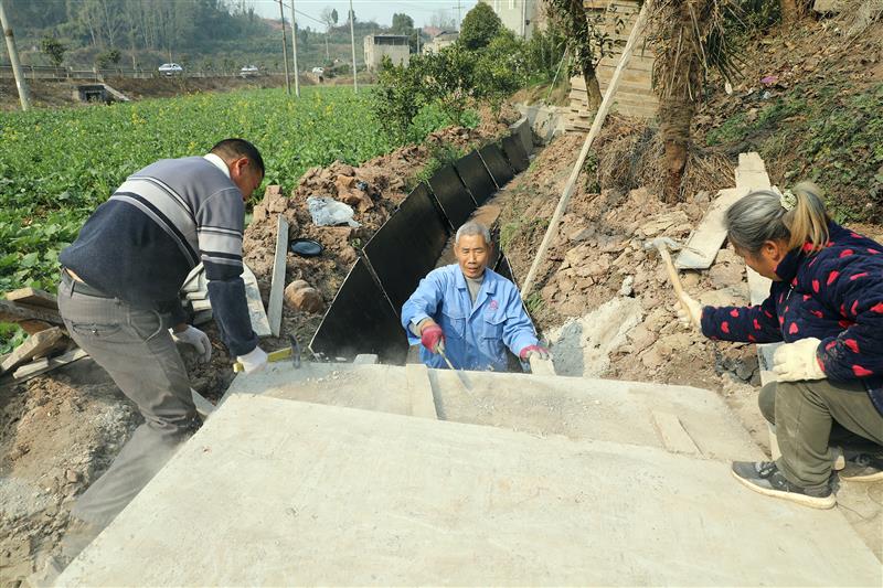 丹棱縣里仁社區在修繕農田水利設施。